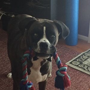 Meet your Posher, Cristina